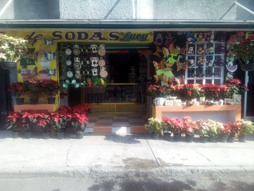 Fuente De Sodas "Las Hermanas" - Thumbnail
