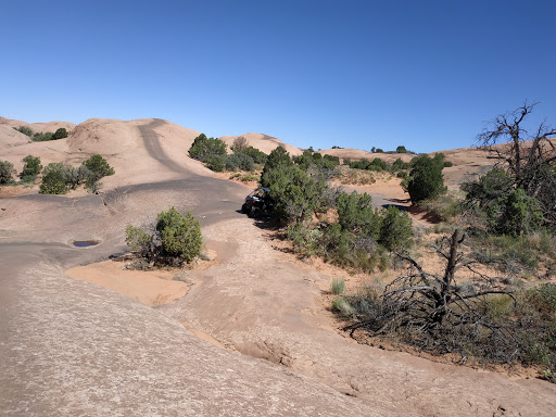Fins & Things 4x4 Trail - Thumbnail