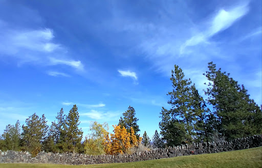 Cliff Park - Visual