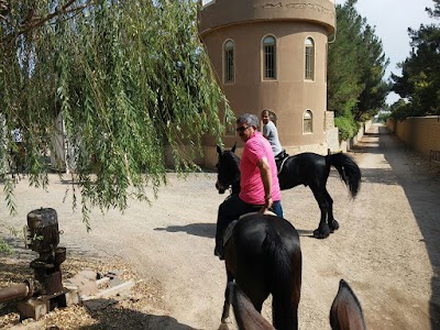 Photos of Paradise Riding Club