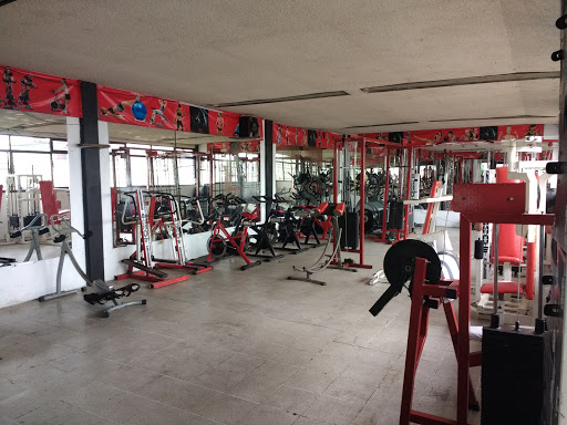 The gym 300