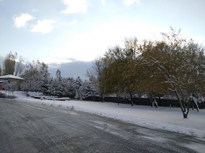 Photos of Junior technical college