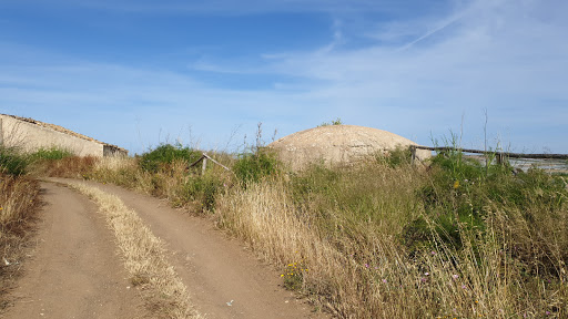 Bunker Scibini - Visual