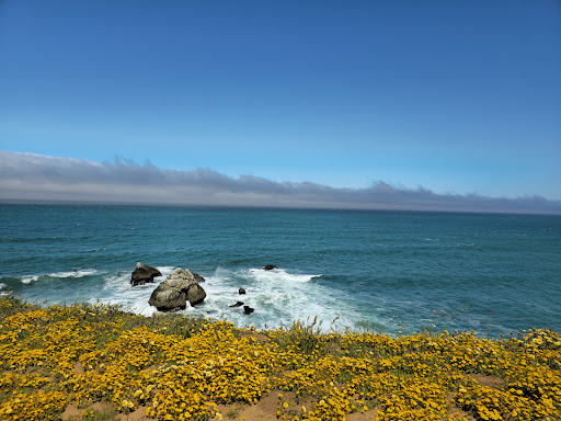 Mori Point - Thumbnail
