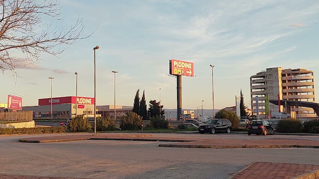Plodine