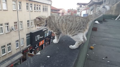 Photos of Dervişoğlu Cinemas