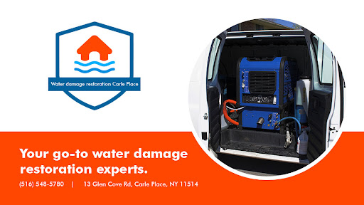 Avatar for Carle Place