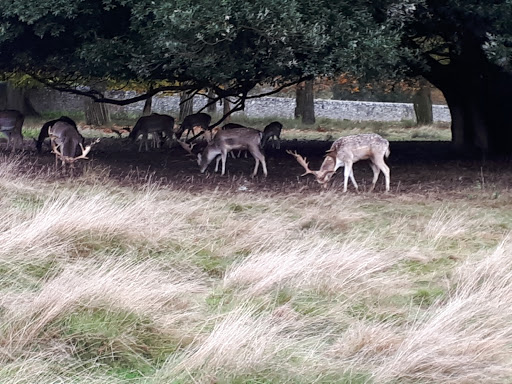 New Lodge West, Petworth Park - Thumbnail