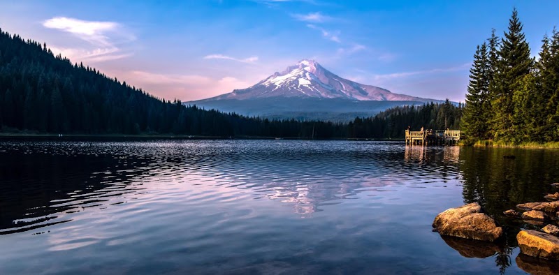 Portland Wellness Center