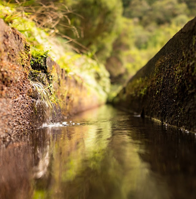 PR6 Levada of 25 Fontes and Risk