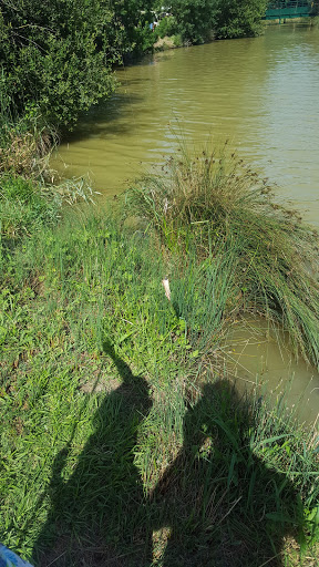 Lac de Fontorbe Gallery - France