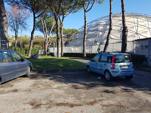 Palazzetto dello Sport "Federica Taglialatela" - Thumbnail