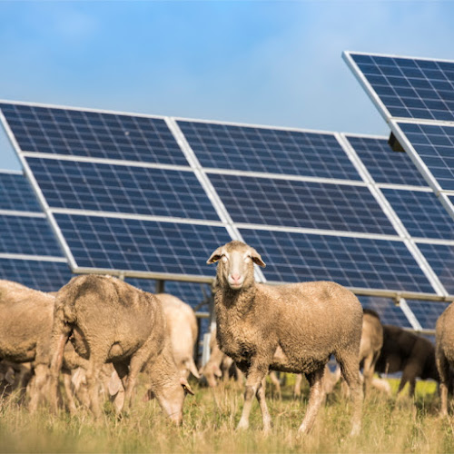 PROJEKTKANZLEI | Rechtsanwalt Sebastian Lange