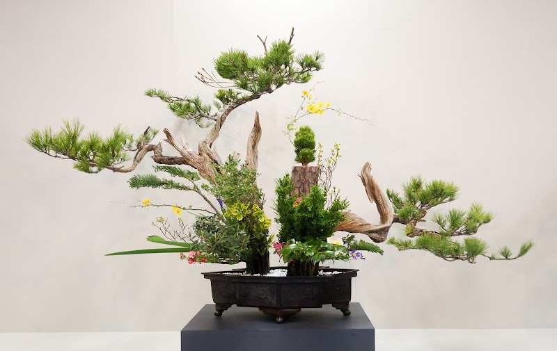 佐藤 池坊いけばな華道教室