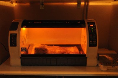 Photos of Beyaz Pati Veteriner