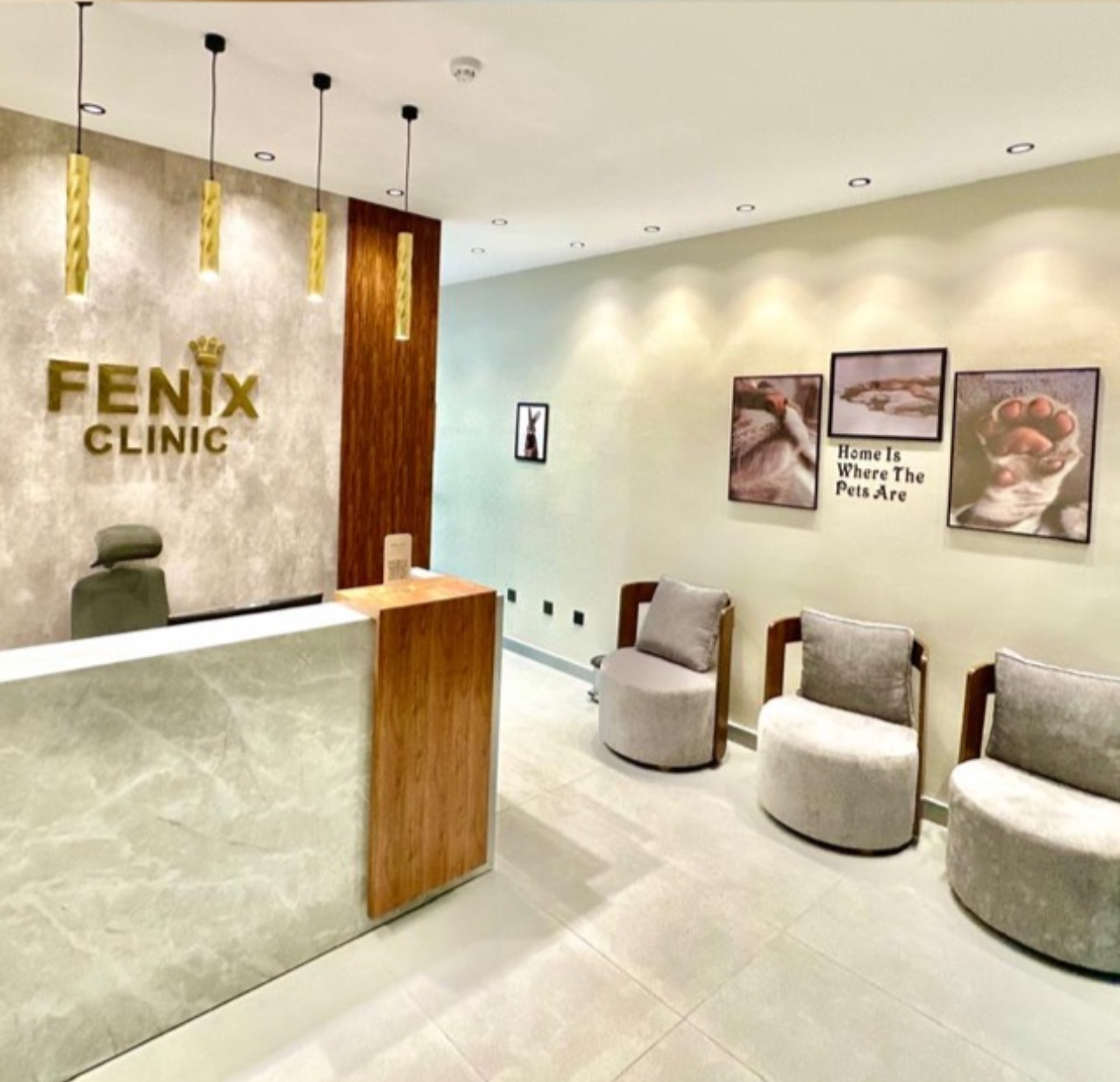 عيادة فينكس البيطرية Fenix Pets Clinic - صورة 2