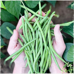 Photo n°3 de Ferme Vermersch à Fontaine-lès-Croisilles (Producteur agroalimentaire)