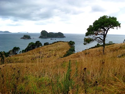 Photos of Admiralty Lodge