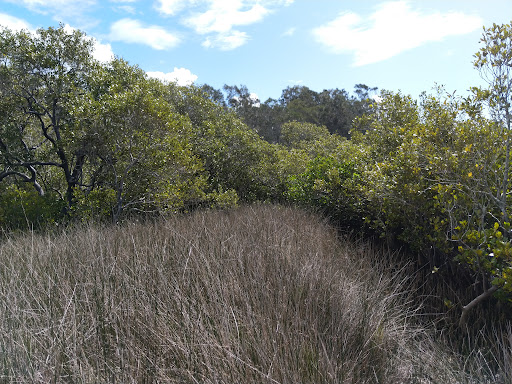 South Beach National Park - Thumbnail