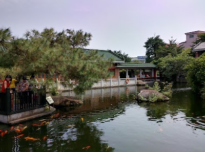 Photos of Rare Tree Park