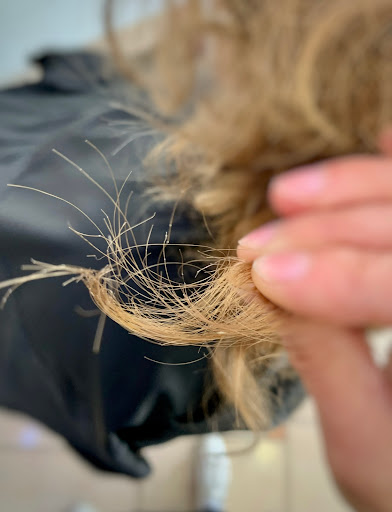 HAIRZLICH Inh. Julia Eckert & Coworking Simone Di Lauro