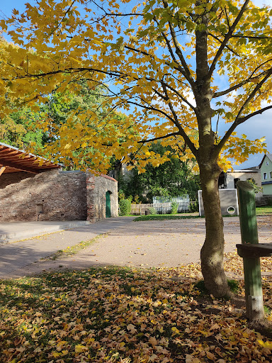 Jenaplanschule im Erzgebirge e.V. - Thumbnail
