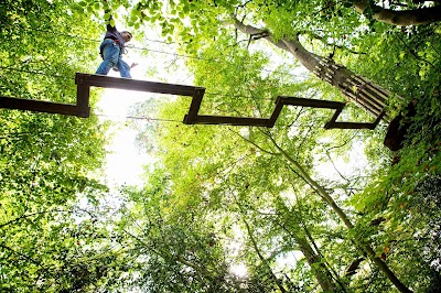 Go Ape Zipline & Adventure Park