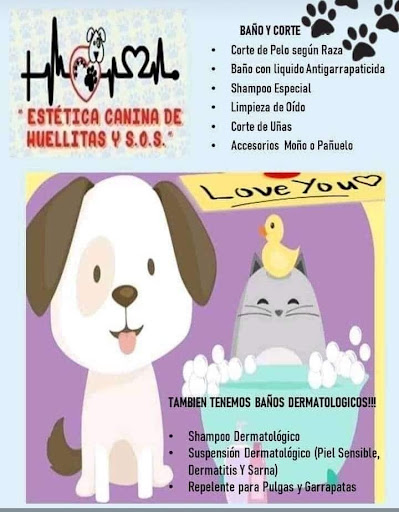 Estetica canina de huellitas