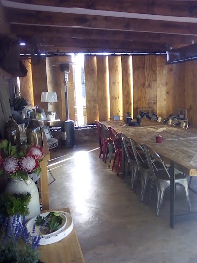 Photos of The Olive Tree