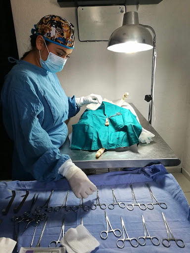 Kaiser Hospital Veterinario - Thumbnail