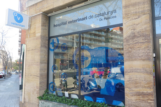 Hospital Veterinari de Catalunya - Sarrià