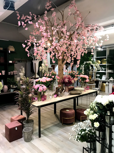 Flor Idea - Visual