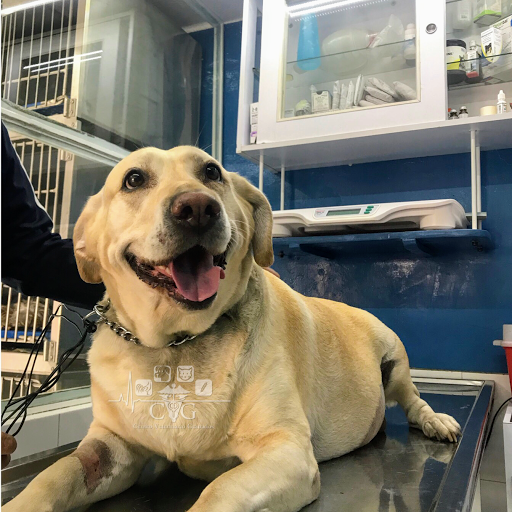 Centro veterinario Granados