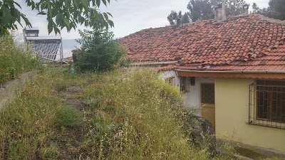 Photos of Nuri Park Hotel