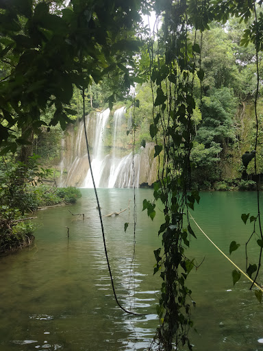 Cascadas las gemelas y las golondrinas