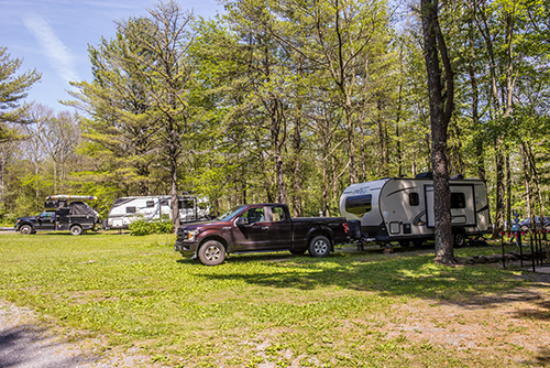 Holiday Pines Campground - Thumbnail
