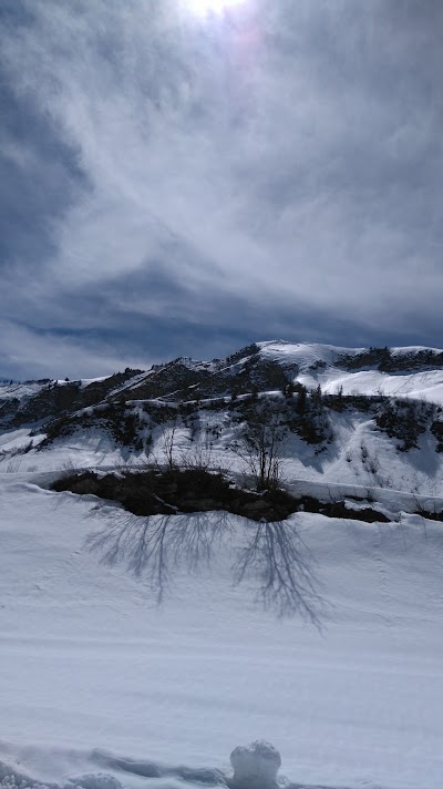 Photos of Glatthorn