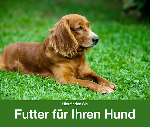 Petra Böhm - FutterinsHaus.de - BARF-Onlineshop - Frostfutter für Tiere