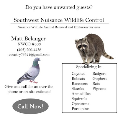 Southwest Nuisance Wildlife Control LLC