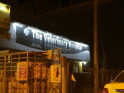 Photos of The Veterinary Hospital