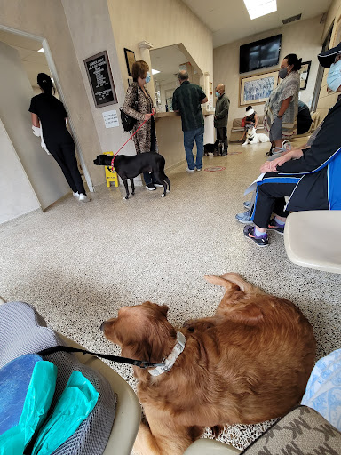 Garden Grove Dog and Cat Hospital - Thumbnail