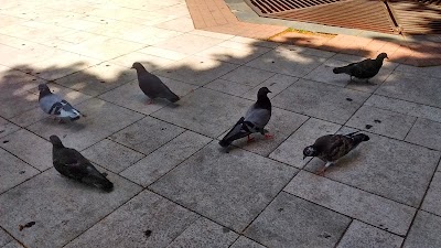 Photos of Republic Square