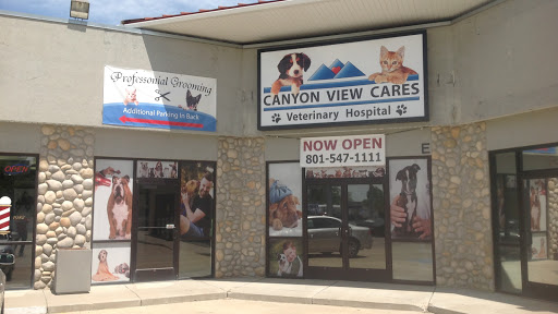 Canyon View Cares