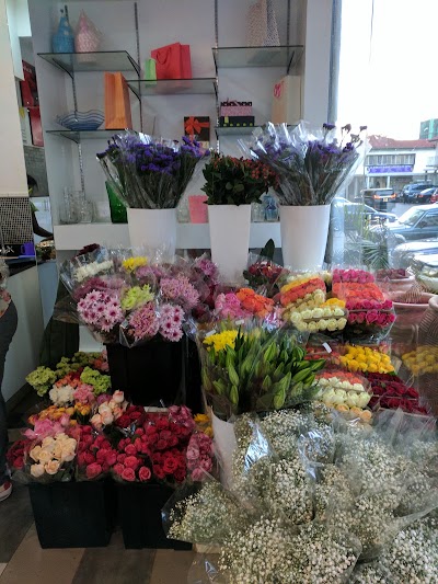 Photos of Flower Bliss Ltd.