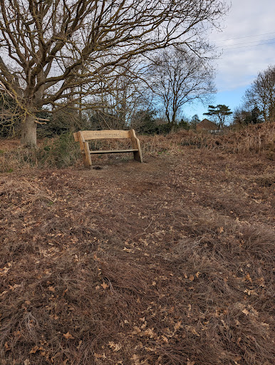 Wenhaston Black Heath