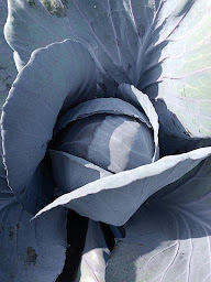 Photo n°10 de Le Biau Jardin à Gerzat (Magasin)