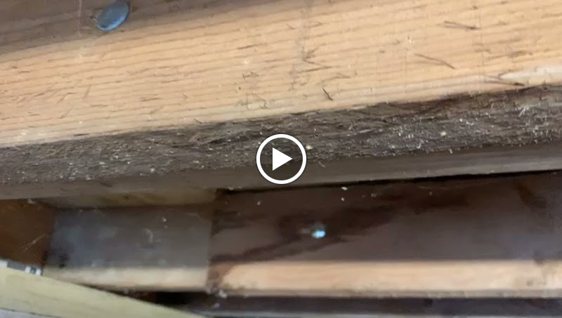 Sheffords Chartered Surveyors photo 3