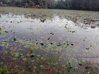 Photos of Maramba Lake,මාරඹ වැව