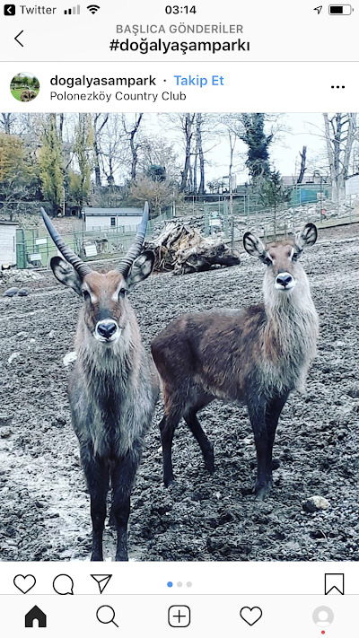 Polonezköy Zoo - Doğal Yaşam Parkı