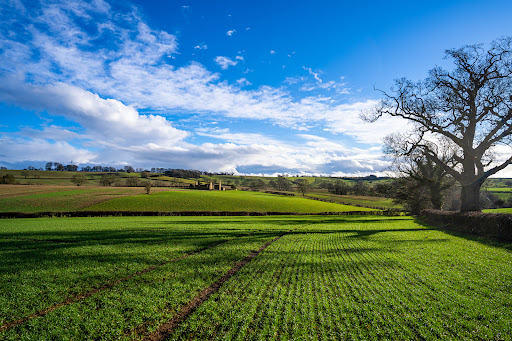 Tysoe Windmill - Visual